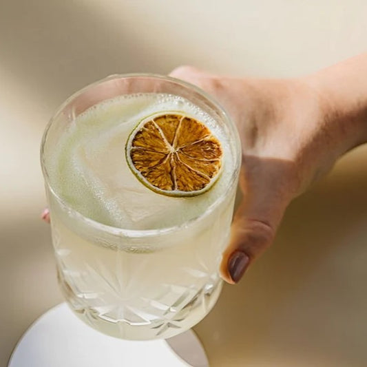 Dried Lemon Slices | Cocktail Garnish | Mr Consistent - iKegger | Mini Keg & Beer Growler System